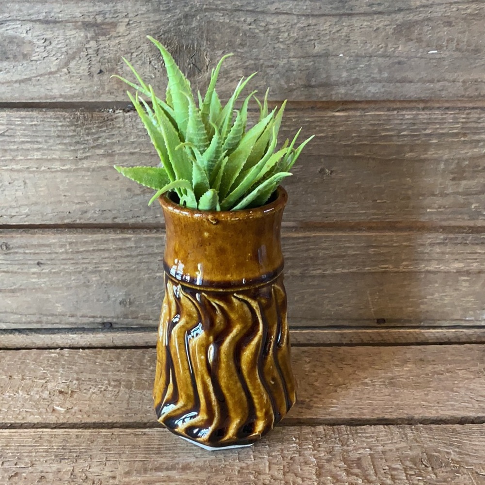 🌵Vase🌵 - Picture 2 of 5